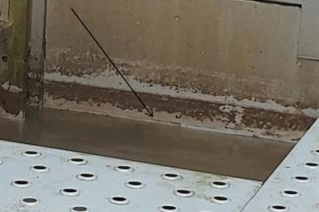 nanoten hladilni stolpi mikroorganizmi